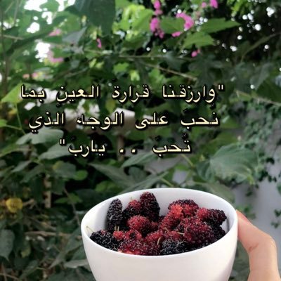 عابرون ولا يبقى سوى الأثر🌧🌿