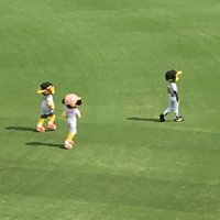 らいでん (@raiden10h11t23) 's Twitter Profile