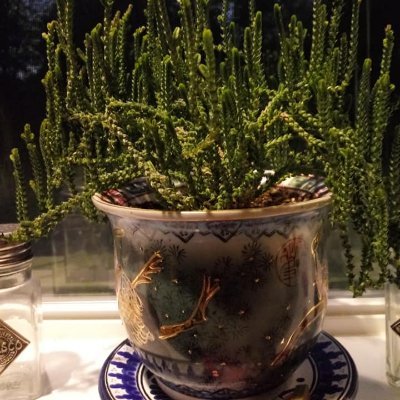 njmcpike's profile picture. #SUPERFAMILY 
@njmcpike
$Norajane5966 
@Nora_McPike