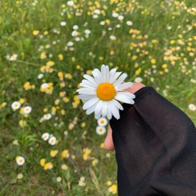 Najd0297's profile picture. 