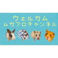 ムカフロチャンネル (@mukafurochannel) 's Twitter Profile