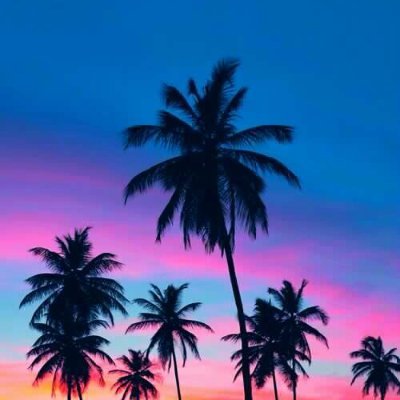 stabcart's profile picture. Raven Masterson last stan account
she/he