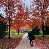 BL (@brilamonte) 's Twitter Profile