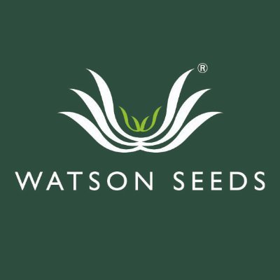 Specialist seed business. Committed to the values of personal service, sound advice and seed of the highest possible quality