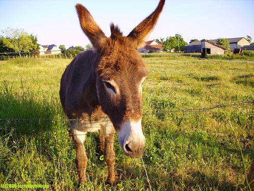 negenborn's profile picture. 