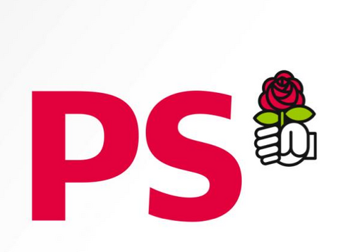 Modeste Secrétaire d'une section PS à Paris, Soutien de Martine Aubry mais socialiste avant tout, ceci depuis une trentaine d'années.