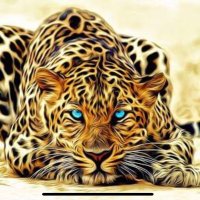 หมี🐻ชอบผอม ชอบหมี (@vwow8) 's Twitter Profile