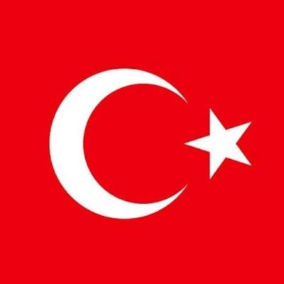 AyselbaranM's profile picture. 