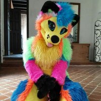🌺rainwoof🌈🐺🌺 (@rainwulff) 's Twitter Profile