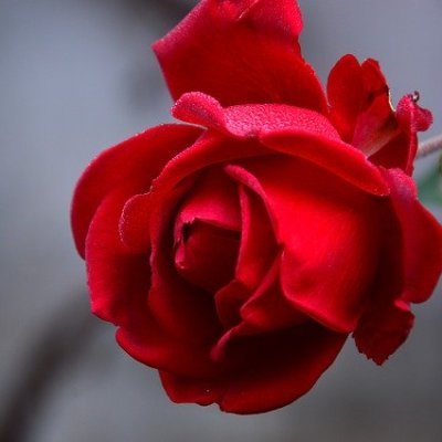 AmbreByrne's profile picture. Fille d'Apollon 💛 Je suis bizarre, mais je suis sympa ☀️