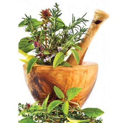 Ayurveda For Life