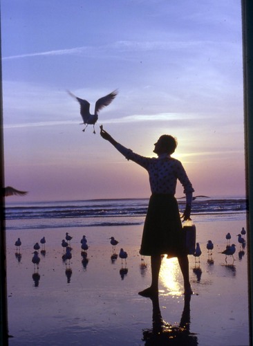 Janet Groene