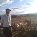 Jonathan Singer - @singerjs - Twitter