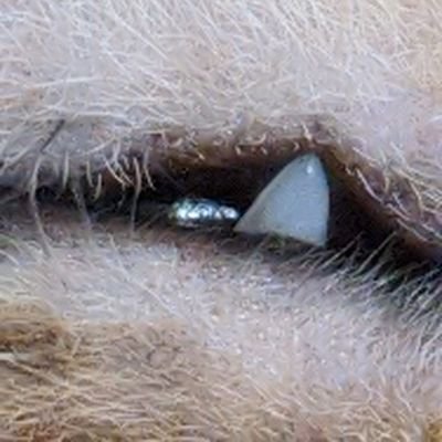 PyQT5's profile picture. nothing to share