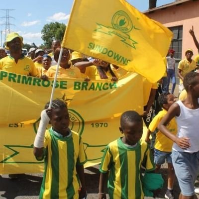 official Branch of 
@masandawana
 suppoters | Sundowns News updates | branch Event's Update|#Kaboyellow
The Rose of Down s🌹