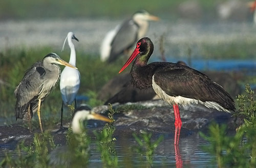 Fcogarciacalle's profile picture. Electrónica, informática, fotografía, naturaleza horticultura
