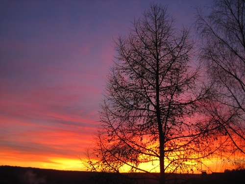 Mariecarelie's profile picture. 