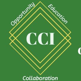 center_liu's profile picture. Home of the Long Island Regional Partnership Center, School Age Family and Community Engagement Center (FACE), and Early Childhood FACE Center