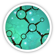 France-BioImaging Research Infrastructure(@Fr_BioImaging) 's Twitter Profile Photo