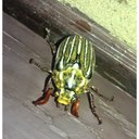 barry wayne - @barwyn - Twitter