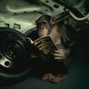 Mitchell McLean - @mitch_mclean - Twitter