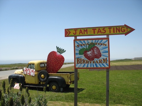 CA's first certified organic strawberry farm and the first CA organic farm to Unionize. Our goal is to bring consumers the tastiest ethical food possible!