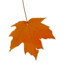 Kenny Dyer - @dilaudid_2mg - Twitter