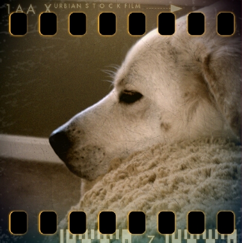 blamo3's profile picture. Enjoying life with a little bit of humor each and everyday.