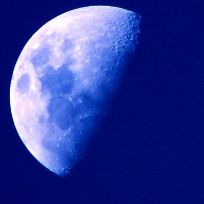 Felipe_Sanch's profile picture. .