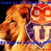 wilfredo Ocaranza (@wolcito) Twitter profile photo wilfredo Ocaranza (@wolcito) Twitter profile photo