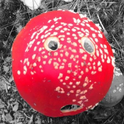 c_homy's profile picture. Security nerd. Encrypt all the things!