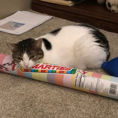 29 she/her | A place for my fangirling | League of Legends | Gaming | Cats