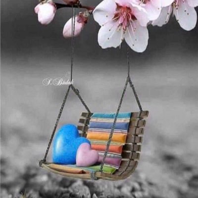 siber77_sym's profile picture. 