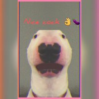 mikehawk (@mikehaw) 's Twitter Profile