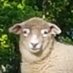 Louie de Lafage (@juannilto) Twitter profile photo Louie de Lafage (@juannilto) Twitter profile photo