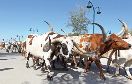 Abilene_TX's profile picture. Abilene... The Prettiest Town I've Ever Seen... Deep in the Hart of Texas you will find the biggest small town in in Texas where everyone knows your name!