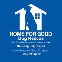 Home for Good Dogs (@homeforgooddogs) 's Twitter Profile
