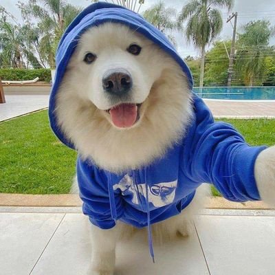 KarYan50527041's profile picture. 