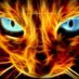 vampy cat man (@vampycatman) Twitter profile photo vampy cat man (@vampycatman) Twitter profile photo
