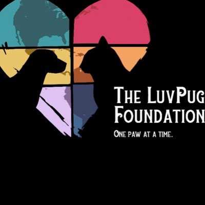 Nonprofit 501(c)3 to help provide a better quality of life for rescue & disabled animals IG- luvpugfoundation https://t.co/fVc7ZTLYyE