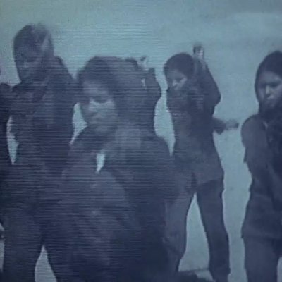 taeateh's profile picture. السلحفاة والأخطبوط