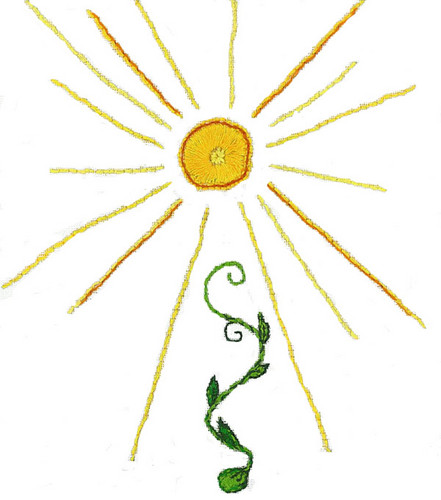 Sunseed is a year-round ecological vegetable farm. We feed the community that supports us. Our summer, fall and winter shares provide fresh veg all year!