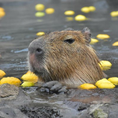 from_adam_'s profile picture. 🌱