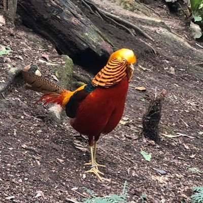 OcW80's profile picture. 