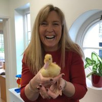 Joanne Speight(@YarmPrePrep) 's Twitter Profile Photo