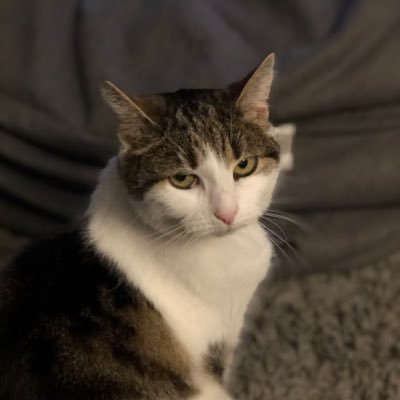 baby_gal1988's profile picture. 