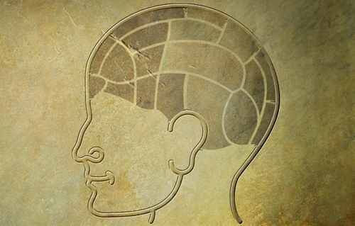 bullishbrain's profile picture. Stock Shrink|Keynote Speaker on Market Psychology and Behavioral Finance|Coach to Top Tier FA's|Clients include Guardian, RS Funds, MS/Smith Barney