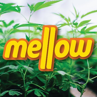 Begin your journey with Mellow to revitalize your mind, body, and soul with the healing powers of cannabis. https://t.co/MAYPhhqPwJ