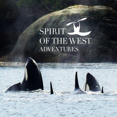 Exceptional multi-day glamping and expedition-style kayak & whale watching tours in coastal Vancouver Island's wilderness. We're Responsible Tourism certified!
