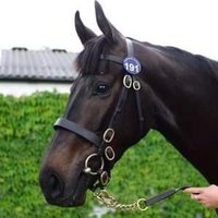 Walshtown Stables (@walshtownstabl1) 's Twitter Profile